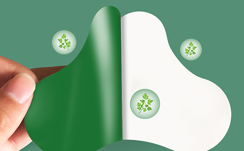 膏藥廠家如何為養生館賦能：打通健康服務“最后一厘米”